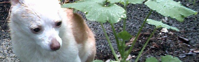 My beautiful picture