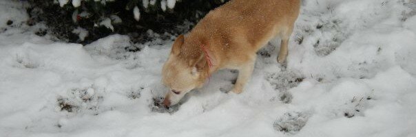 1910591_602644124403_1349_n