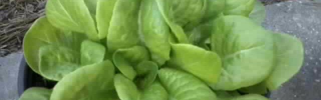 Resize_0322161911-00_01